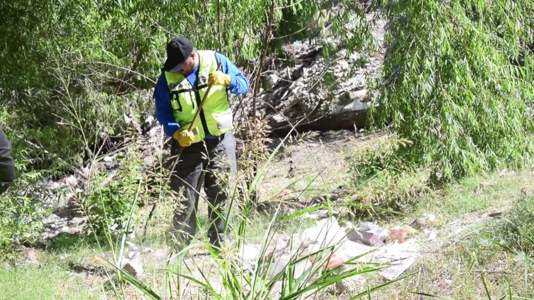 Realiza Municipio limpieza en arroyos del sur a fin de prevenir afectaciones a la salud