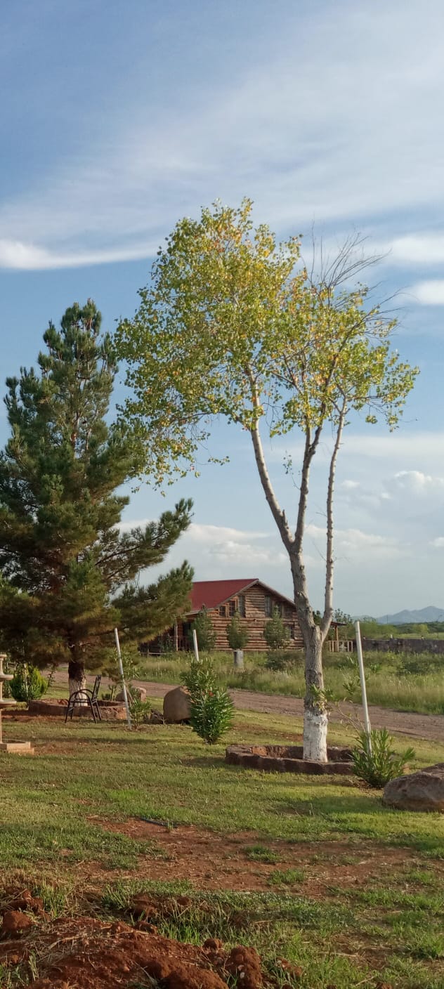 Más calor y vientos para este jueves