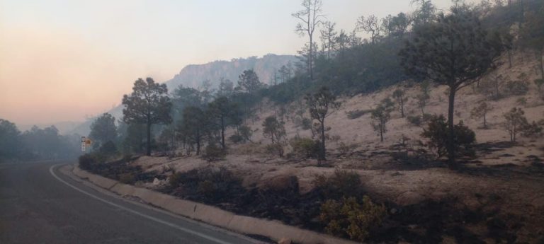 Informa CEPC sobre reapertura de tramos carreteros tras incendios activos en la zona serrana