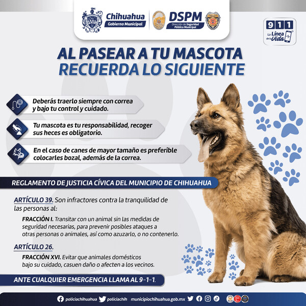 Exhorta Seguridad Pública a atender recomendaciones para el paseo de mascotas en vía pública