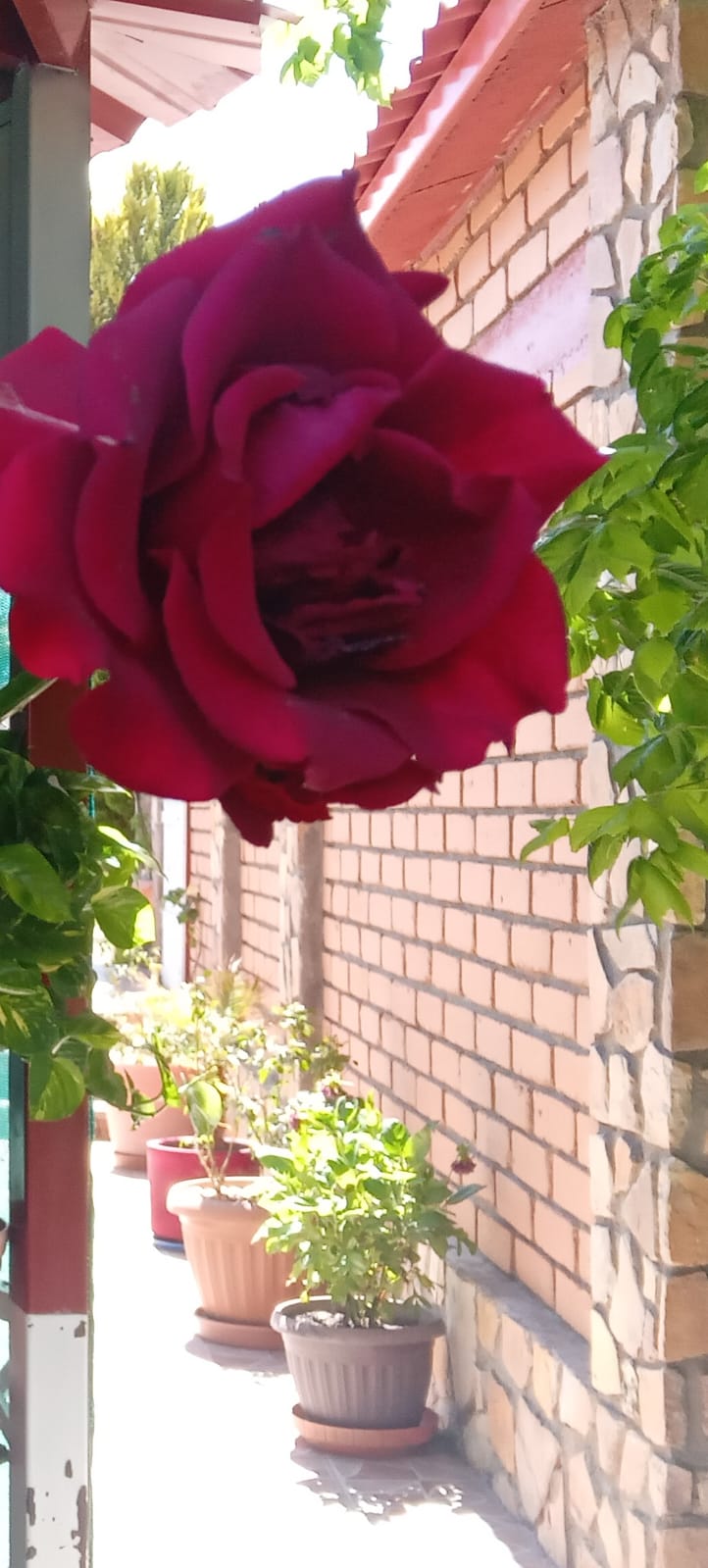 Tiempo seco y caluroso para este jueves