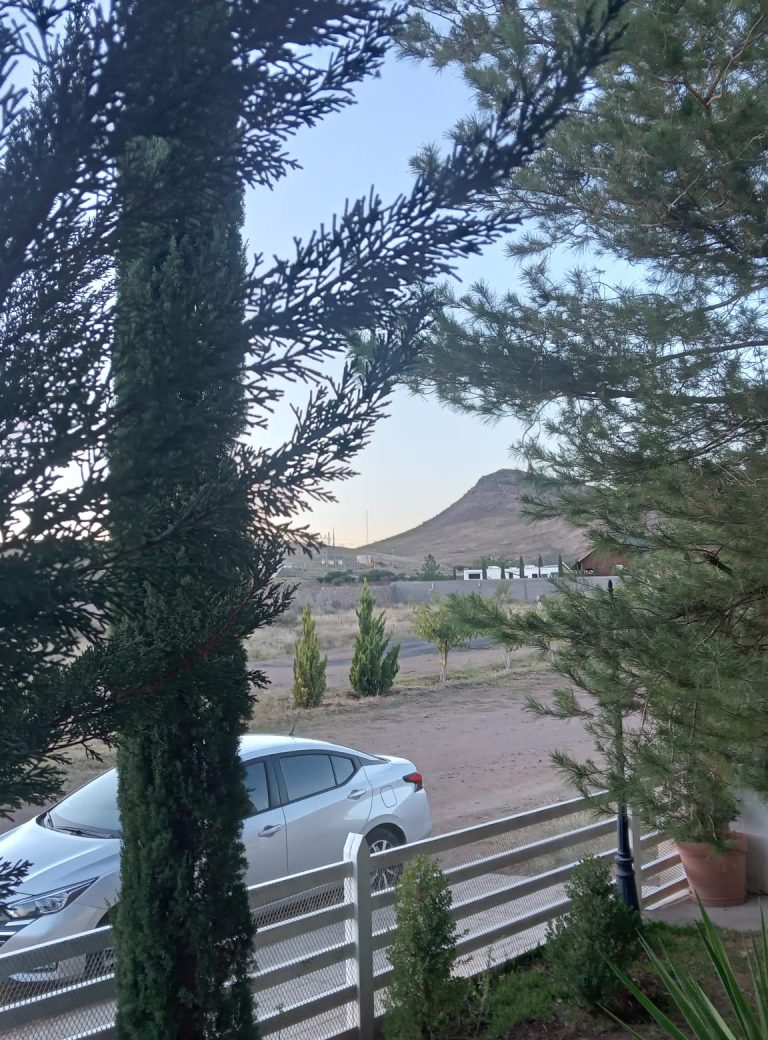 Mantiene Protección Civil alerta ante pronóstico de altas temperaturas en el estado para este fin de semana