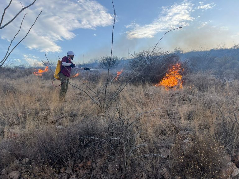 Bajo control incendio en la Sierra del Mogote