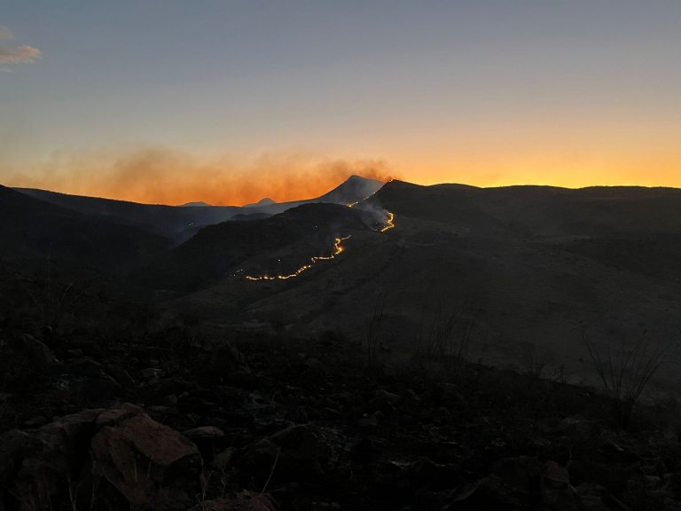 Atienden cuerpos de seguridad incendio forestal en la Capital