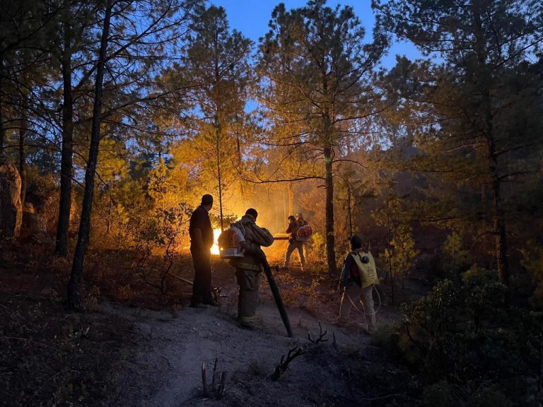 Continúa presencia de la CEPC en región serrana ante  forestales