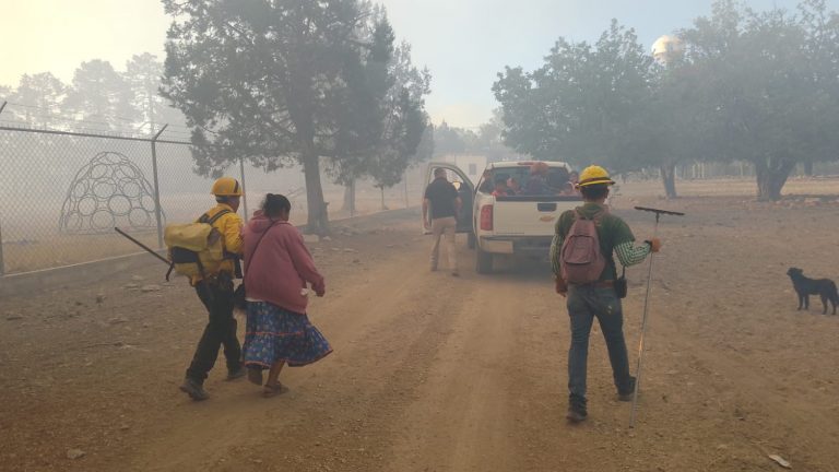 Establece Protección Civil medidas preventivas en Bocoyna ante propagación de incendio forestal
