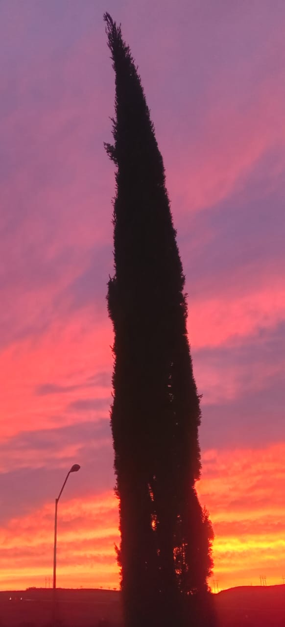 Continúa tercera ola de calor afectando a la entidad