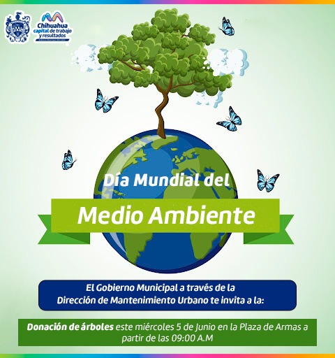 Realizará Municipio donación de árboles este miércoles 5 de junio en la Plaza de Armas