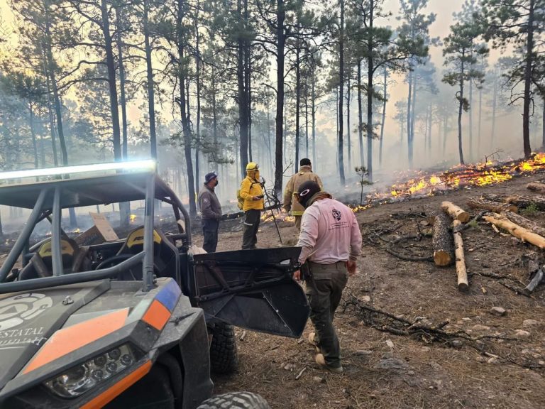 Continúa CEPC brindando apoyo ante la presencia a los incendios forestales en la Sierra 