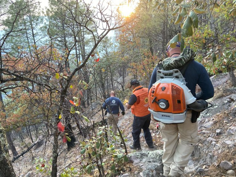 Atiende. Incendio forestal en Bocoyna