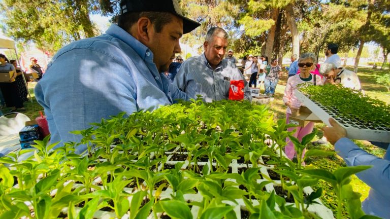 Entregan implementos para cultivo de hortalizas