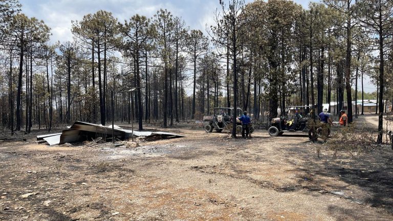 Brinda Protección Civil apoyos a familias evacuadas por incendios en la comunidad de San Elías