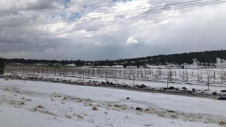 Alerta Protección Civil por tormentas y posible caída de granizo en próximas horas
