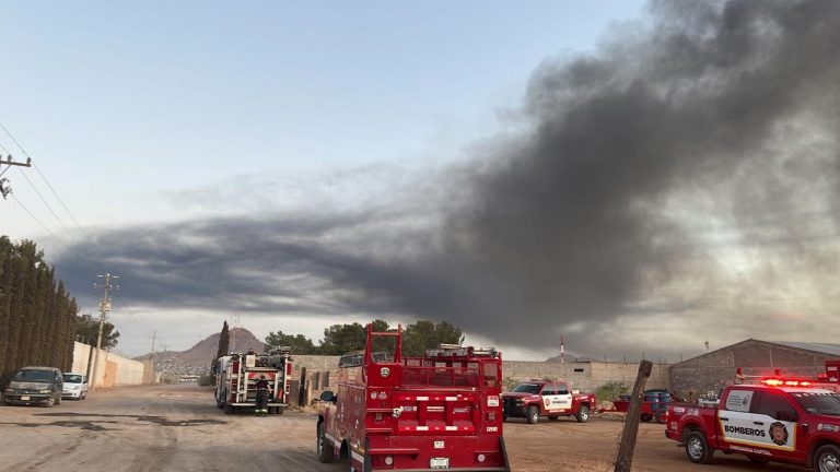 Bomberos controlaron incendio en fábrica de tarimas para descartar riesgos