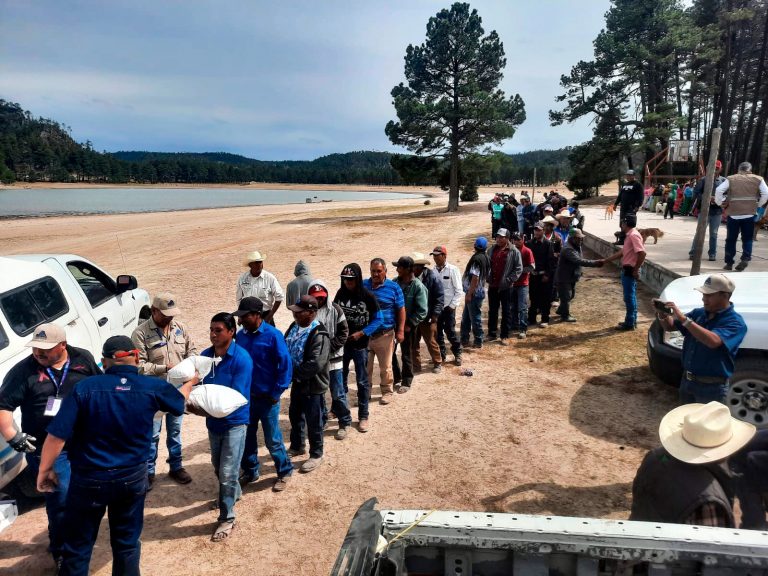 Respalda Estado a más de 23 mil familias de la región serrana con entregas de maíz y frijol