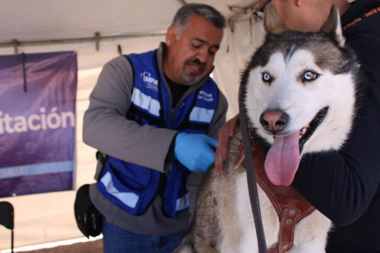 Visitará IMPAS a familias de Riberas del Sacramento con jornada “Salud Cerca de Ti”