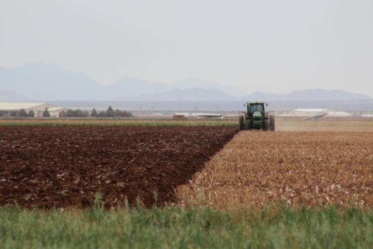 Apoyan con seguro contra sequía a más de 43 mil hectáreas