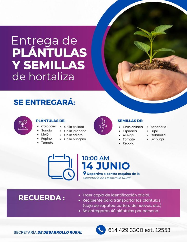 Invita Secretaría de Desarrollo Rural a la entrega de plántulas y semillas de hortaliza