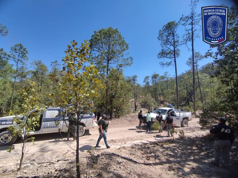 Realiza Operativo Conjunto acciones de prevención y vigilancia en la sierra