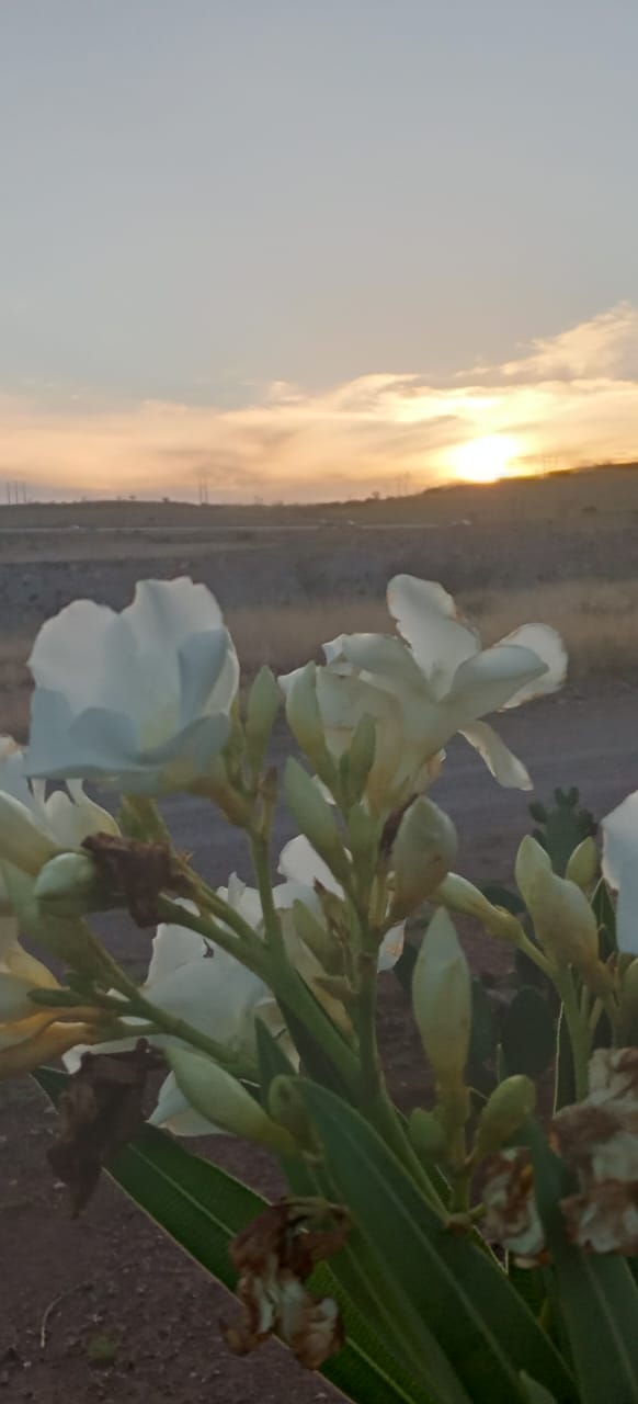 ¡Vuelve el calorón!