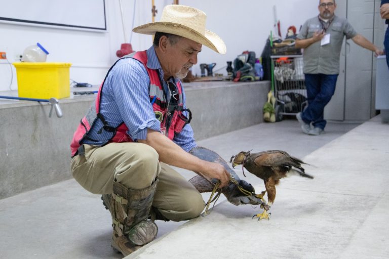 Capacitan a cadetes y bomberos de la ciudad en manejo de fauna silvestre