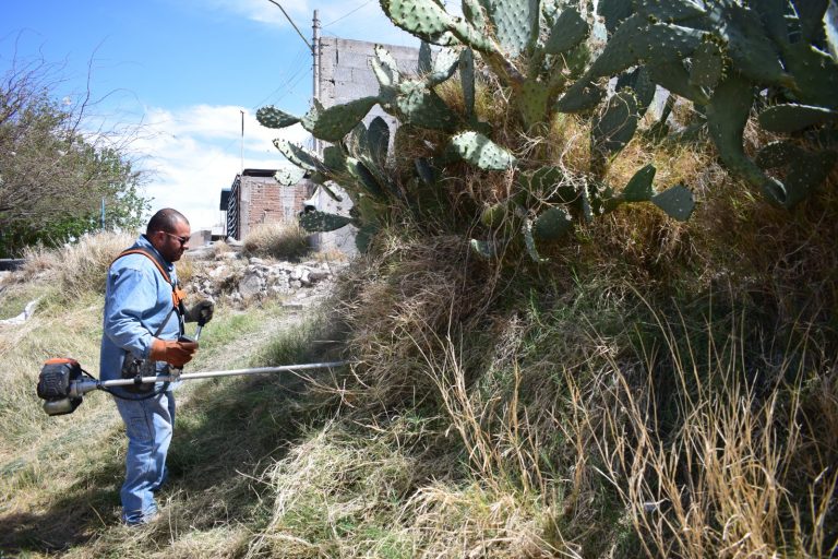 Retira Municipio más de mil 800 toneladas de basura y maleza en arroyos en lo que va del 2024