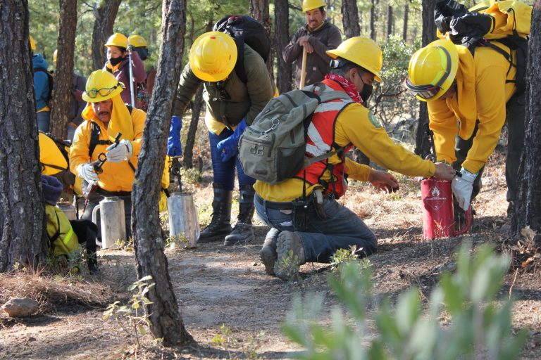 Estrategias de combate y lluvias liquidan incendios forestales en Chihuahua