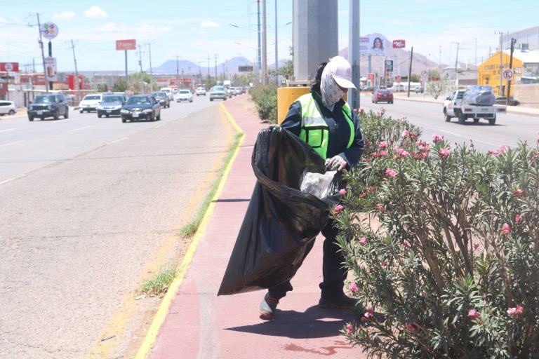 Limpió Gobierno Municipal más de 193 mil m2 de vialidades al sur de la ciudad durante junio