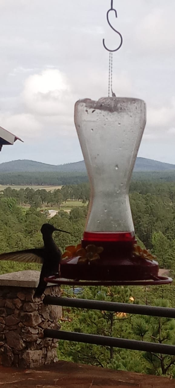 Continúan lluvias en zona serrana para este martes