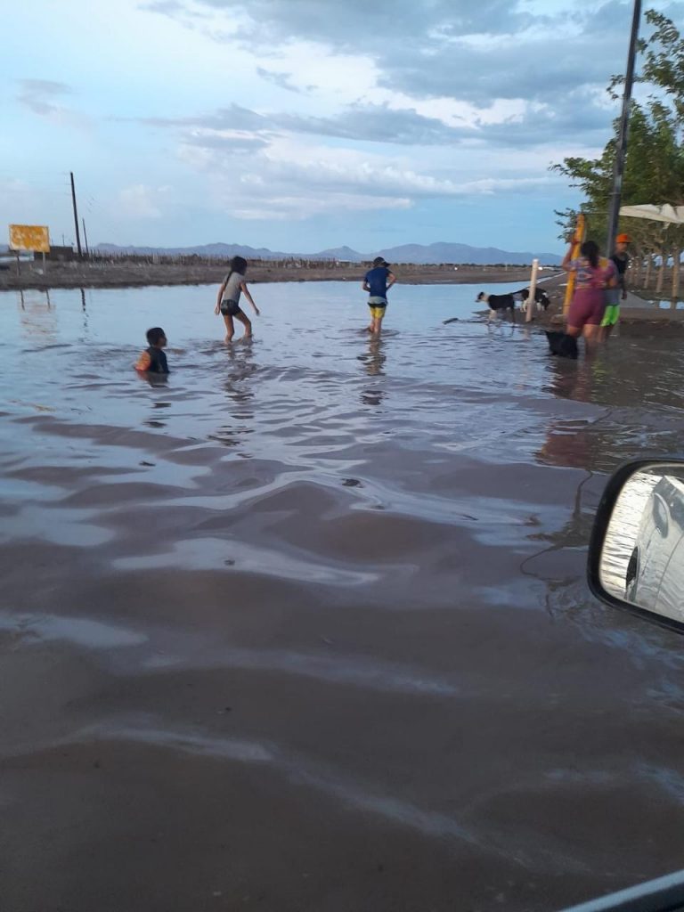 Entregan apoyos a familias de Ascensión afectadas por lluvias