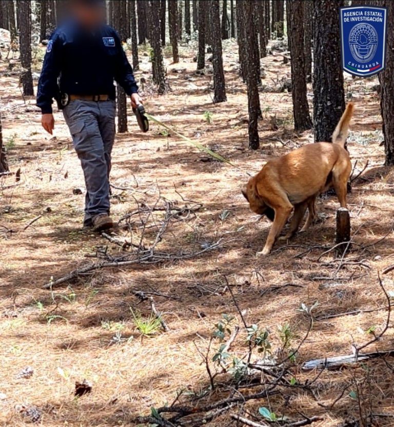 Realizan FGE y CLB inspección en Madera por cuatro desaparecidos
