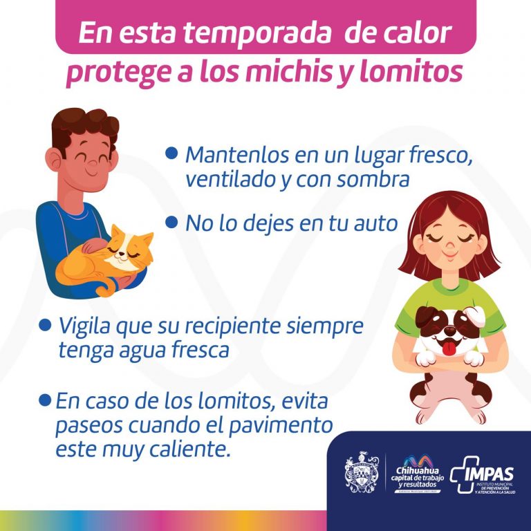 Dan recomendaciones para cuidado de mascotas ante ola de calor