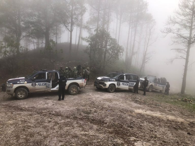 Destruye Policía del Estado campamento en Guadalupe y Calvo