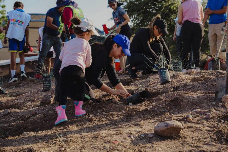 Reforestan Gobierno Municipal y Grupo México parque El Palomar y talud de La Cantera