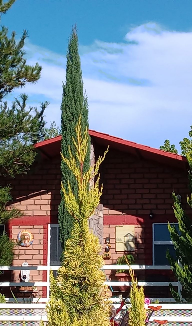 Se prevén temperaturas cálidas con máxima de 36°C esta semana en Chihuahua Capital