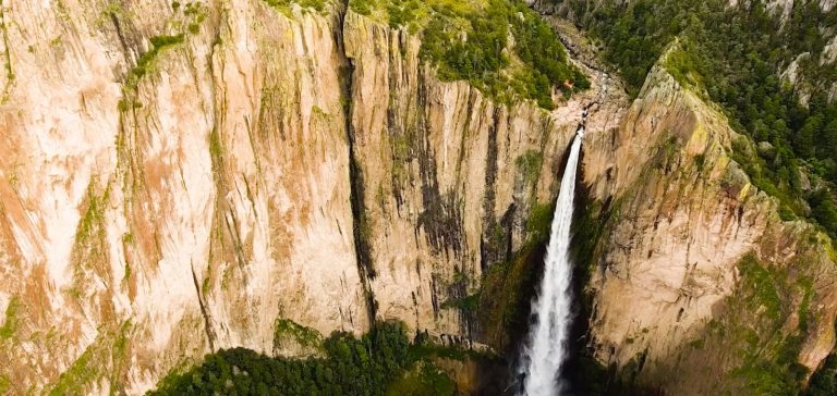 Chihuahua está de película