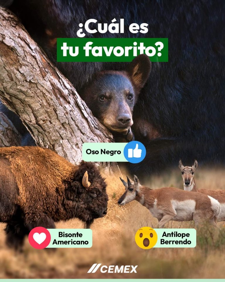 Grupo Cemex apoya conservación de especies en reserva natural