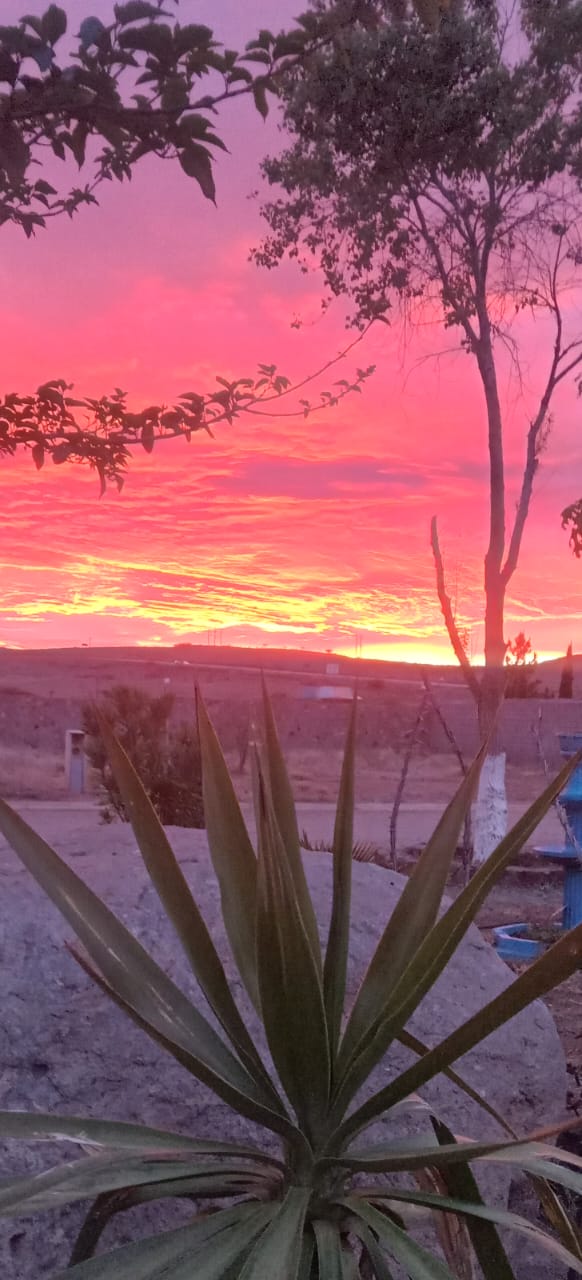 Alerta Protección Civil Estatal por vientos y lluvias en próximas horas en la entidad