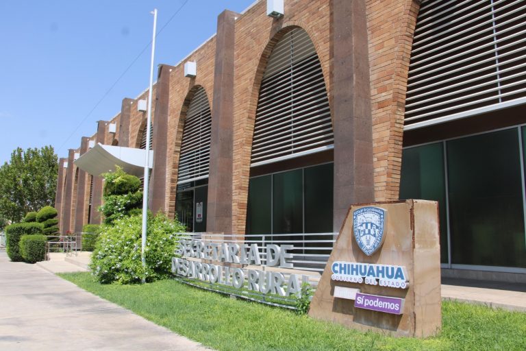 Invierte Desarrollo Rural 6 mdp en subsidios para la adquisición de semilla de frijol