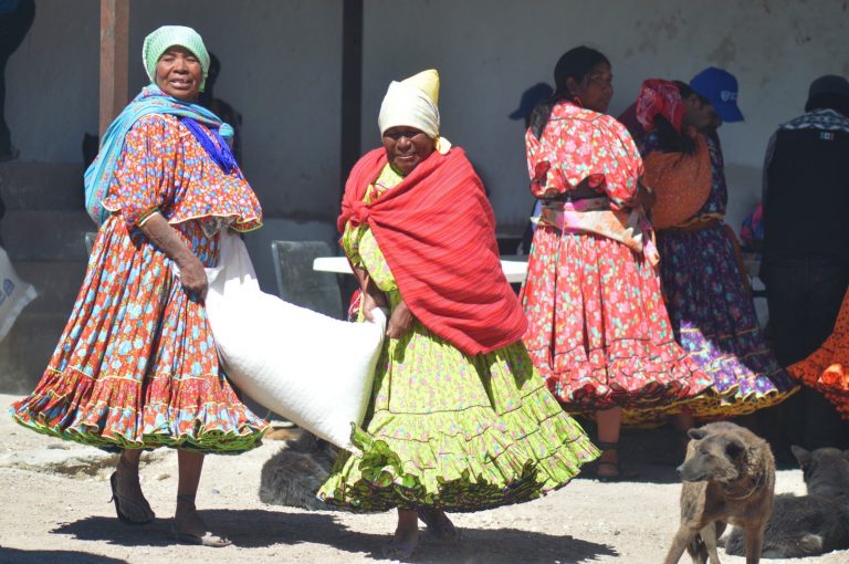 Beneficia Juntos por la Sierra Tarahumara a más de 77 mil familias afectadas por la sequía