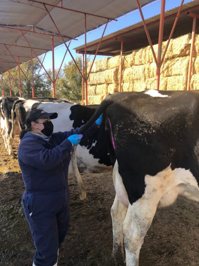 Continúa Gobierno del Estado con barrido sanitario en 10 municipios de la Sierra Tarahumara