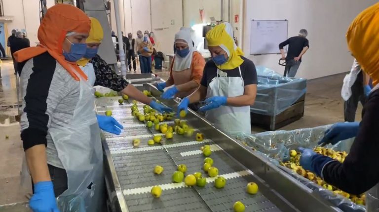 Entregan Estado y FIRA 200 créditos mediante el Programa de Financiamiento a la Mediana Empresa Agroalimentaria y Rural