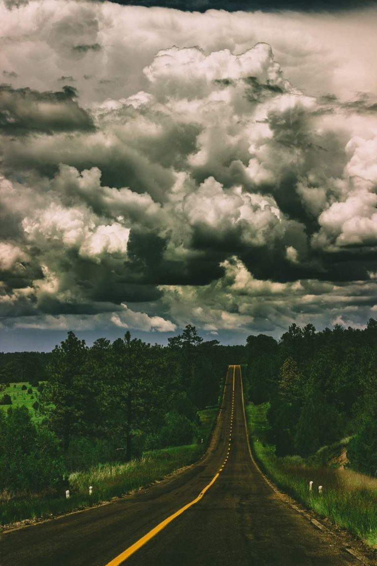 Denuncian que emporio minero se niega a reforestar en Madera