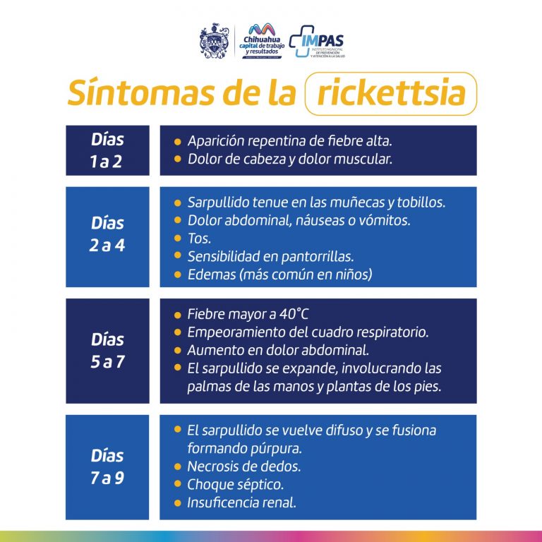 Conoce los síntomas de la enfermedad provocada por las garrapatas