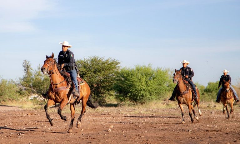 Policía Montada: 28 años de servir y proteger a la comunidad hasta las áreas más remotas