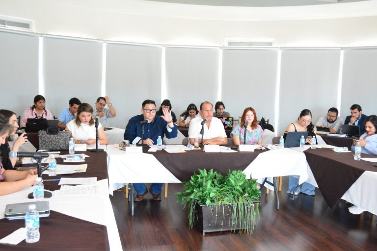 Aprueban diversos proyectos de dictamen de reformas a la ASE, a la CEDH y de Participación Ciudadana