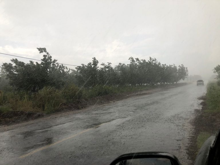 Mantiene Protección Civil alerta ante pronóstico de lluvias en la entidad