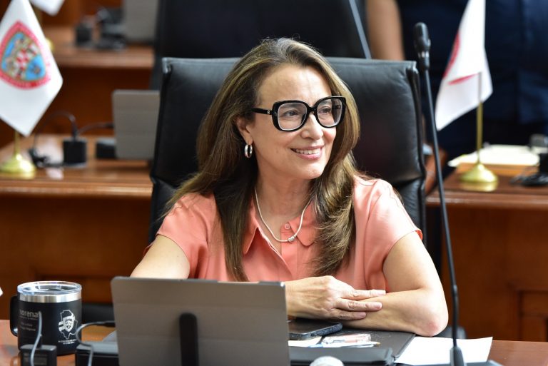 Insistirá Morena en lucha por tipificar violencia vicaria