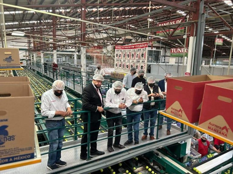 Manzana de Chihuahua: fruto de orgullo y trabajo