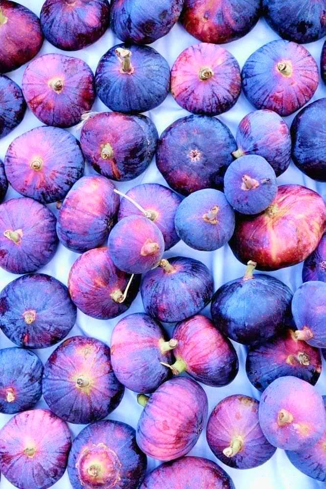 La razón por la que los veganos no consumen higos